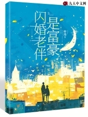 闪婚老伴是豪门评价